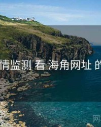 从 舆情监测 看 海角网址 的机会