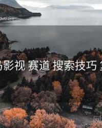 神马影视 赛道 搜索技巧 复盘