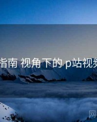 上手指南 视角下的 p站视频app