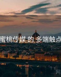 关于 蜜桃传媒 的 多端触点 研究