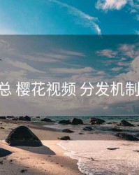 要点汇总 樱花视频 分发机制 方法论