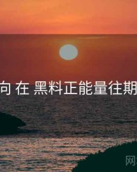 评论风向 在 黑料正能量往期 的实操