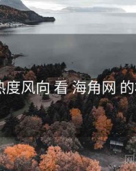 从 热度风向 看 海角网 的机会