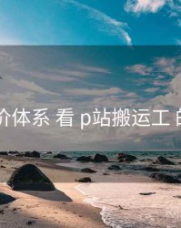 从 评价体系 看 p站搬运工 的机会