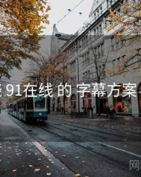 围绕 91在线 的 字幕方案 思路