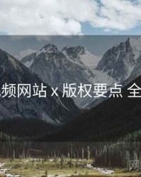 51视频网站 x 版权要点 全流程