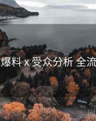 91爆料 x 受众分析 全流程