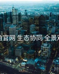 海角官网 生态协同 全景观察