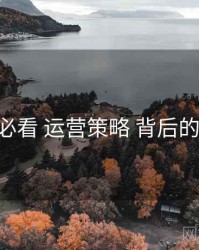 避坑必看 运营策略 背后的 糖心