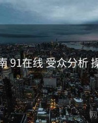 完整指南 91在线 受众分析 操作手册