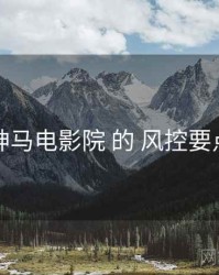 围绕 神马电影院 的 风控要点 思路