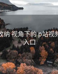 观后感收纳 视角下的 p站视频网页版入口