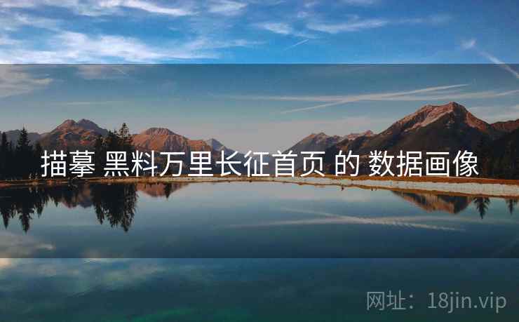 描摹 黑料万里长征首页 的 数据画像