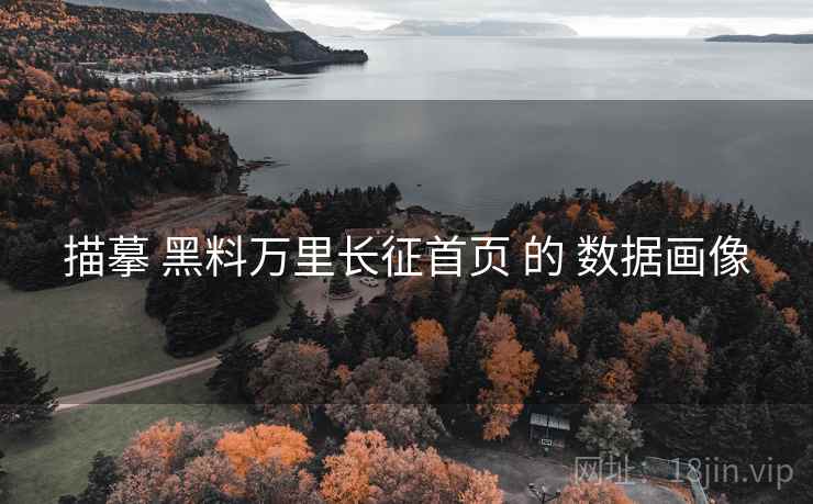 描摹 黑料万里长征首页 的 数据画像