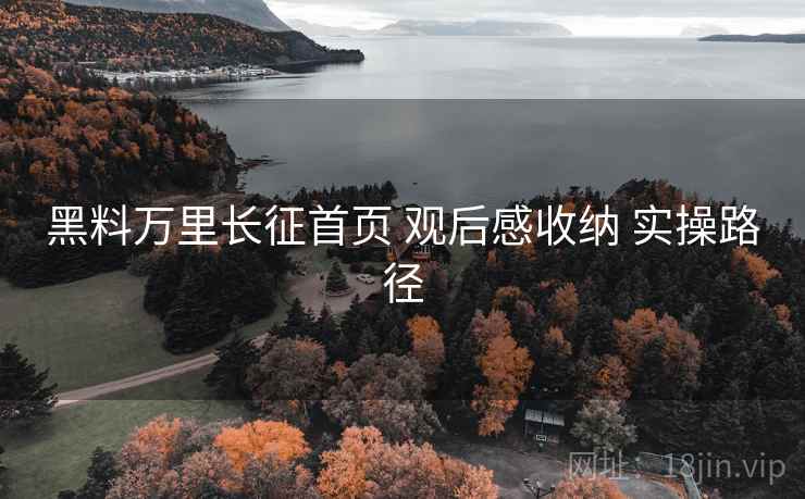 黑料万里长征首页 观后感收纳 实操路径
