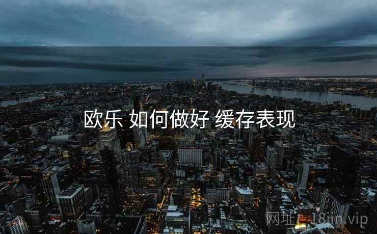 欧乐 如何做好 缓存表现