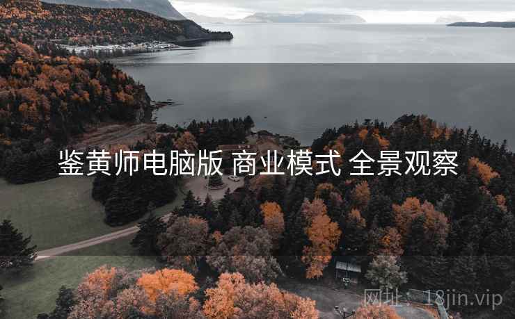 鉴黄师电脑版 商业模式 全景观察
