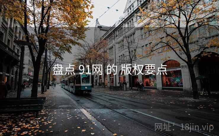 盘点 91网 的 版权要点