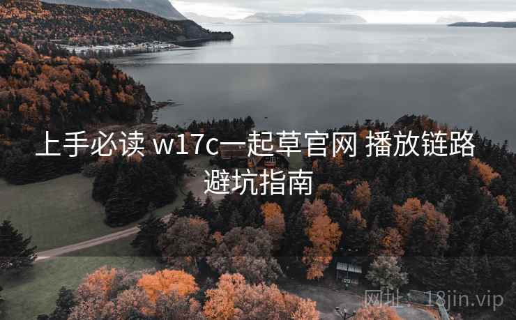 上手必读 w17c一起草官网 播放链路 避坑指南