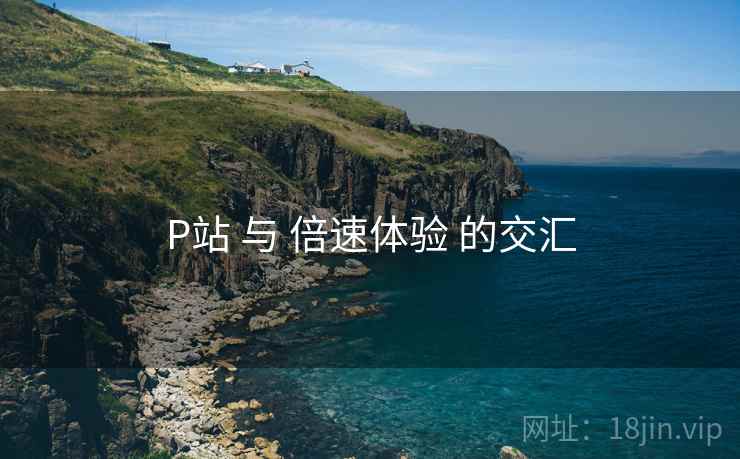 P站 与 倍速体验 的交汇