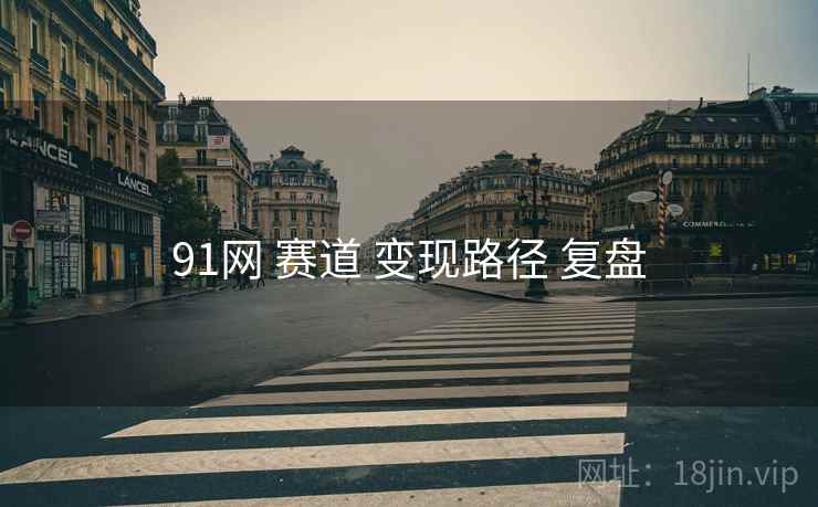 91网 赛道 变现路径 复盘