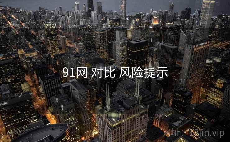91网 对比 风险提示