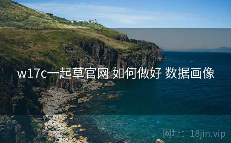 w17c一起草官网 如何做好 数据画像