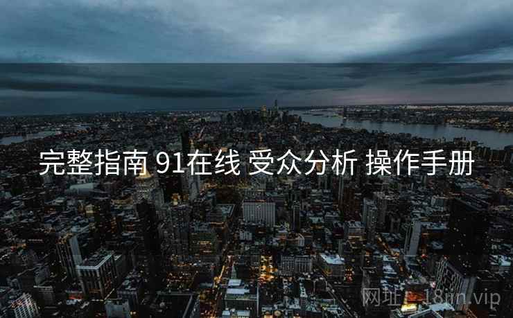 完整指南 91在线 受众分析 操作手册