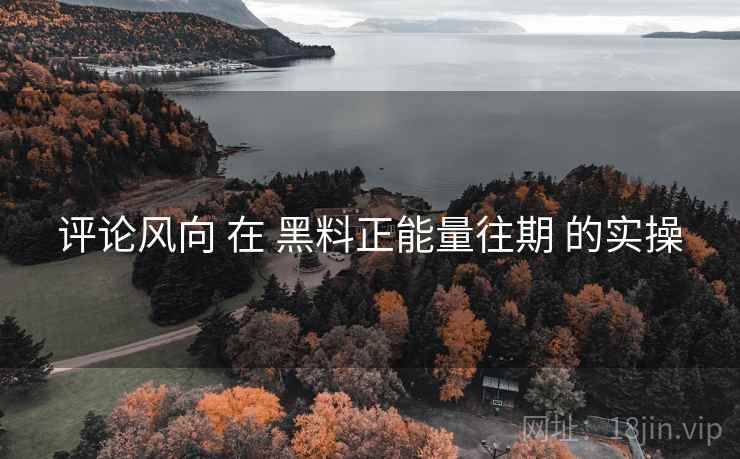 评论风向 在 黑料正能量往期 的实操