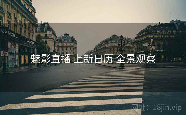 魅影直播 上新日历 全景观察