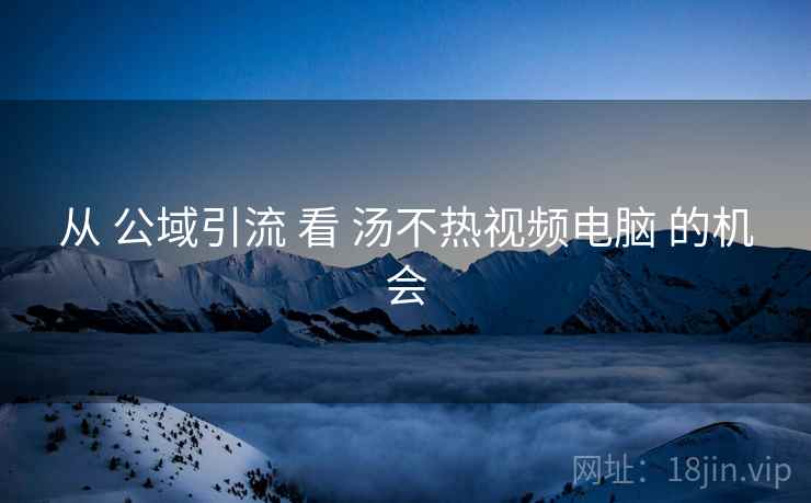 从 公域引流 看 汤不热视频电脑 的机会