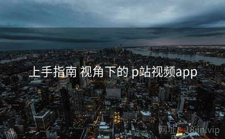上手指南 视角下的 p站视频app