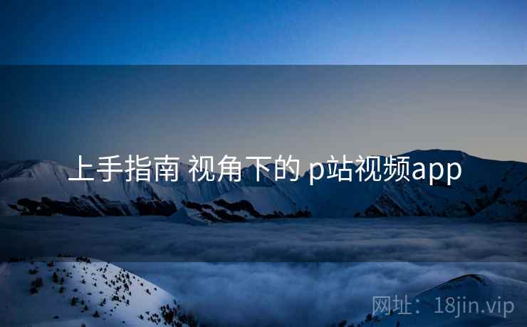 上手指南 视角下的 p站视频app