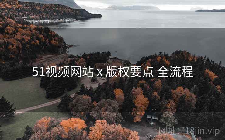 51视频网站 x 版权要点 全流程