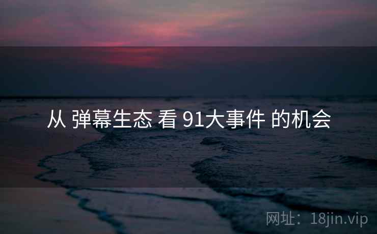 从 弹幕生态 看 91大事件 的机会
