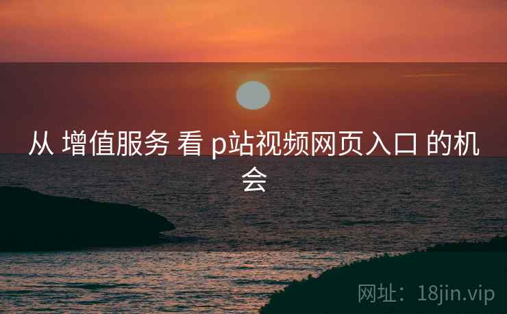 从 增值服务 看 p站视频网页入口 的机会