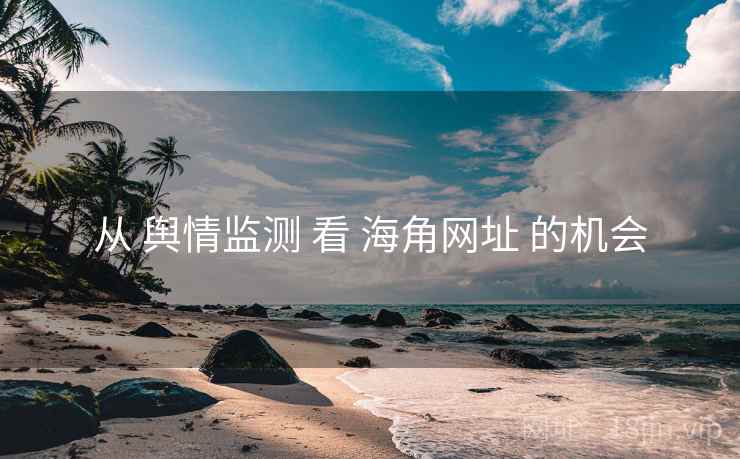 从 舆情监测 看 海角网址 的机会